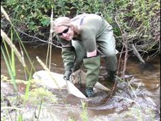 Field monitoring Field monitoring