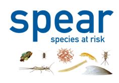 SPEAR logo SPEAR logo