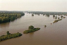 Flood August 2002