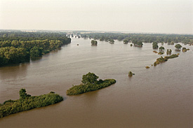 Flood August 2002 Flood August 2002