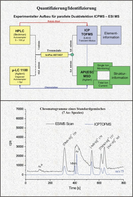 Quantifizierung / Identifizierung - Experimenteller Aufbau