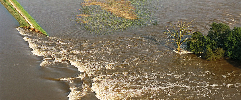 Klimaforschung am UFZ. Hochwasser 2002 an der Elbe. Foto: André Künzelmann/UFZ