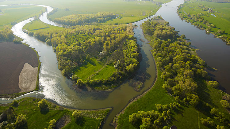 Flussmündung Elbe Saale, Foto: André Künzelmann/UFZ