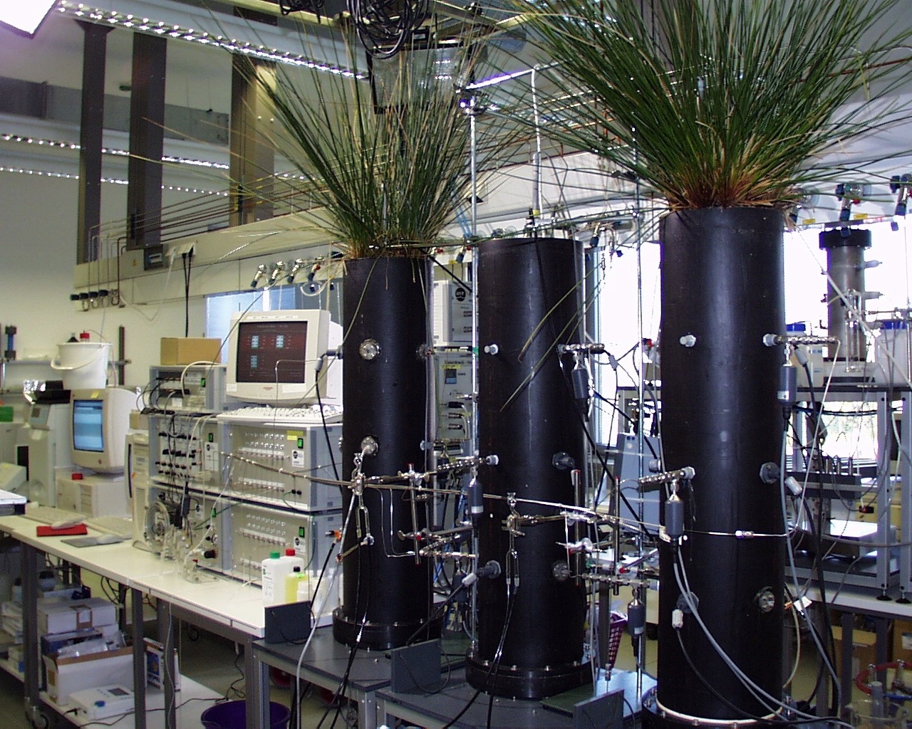 Experimental column system for characterization of nitrogen transformations Picture of experimental wetland in lab