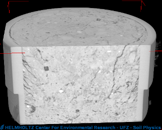 compacted sub soil (Chernozem Bad Lauchstädt, diameter 80mm resolution 0.1mm). Distrurbance of the structure due to the sampling procedure is evident - we are still improving.