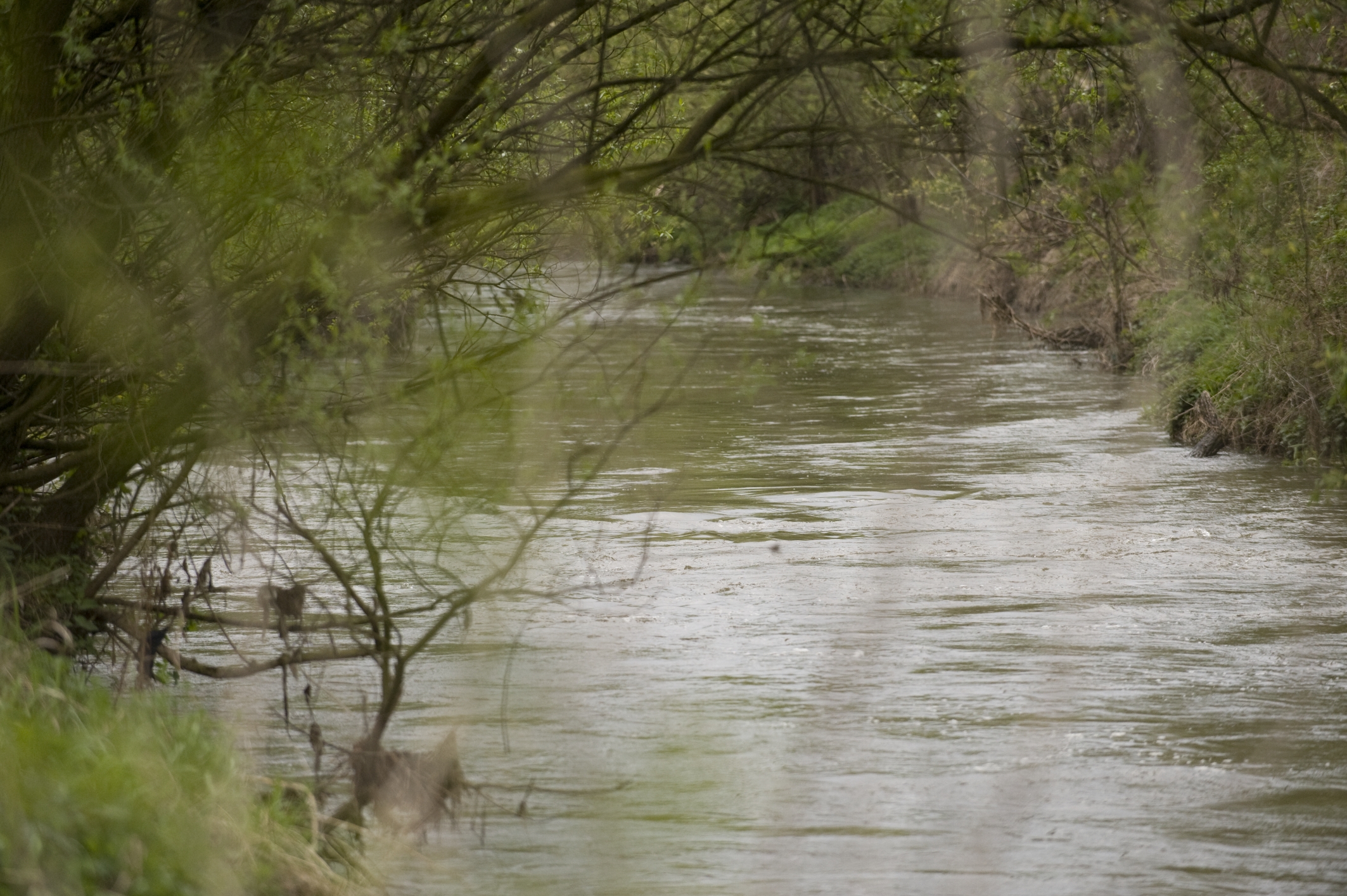 River River