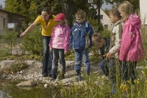 Urban Ecosystem Services