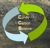 ccb logo ccb logo