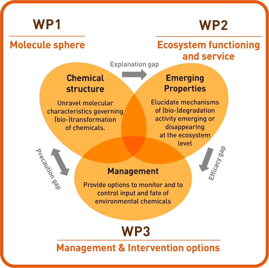 IP 41 WP-Schema