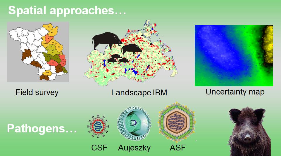 Spatial approaches