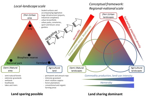 IP 12 Conceptual Framework