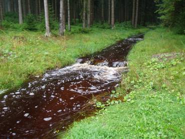 Braunfärbung der Weißen Mulde (Foto: Tittel, UFZ)