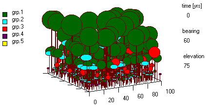 Forest Simulation