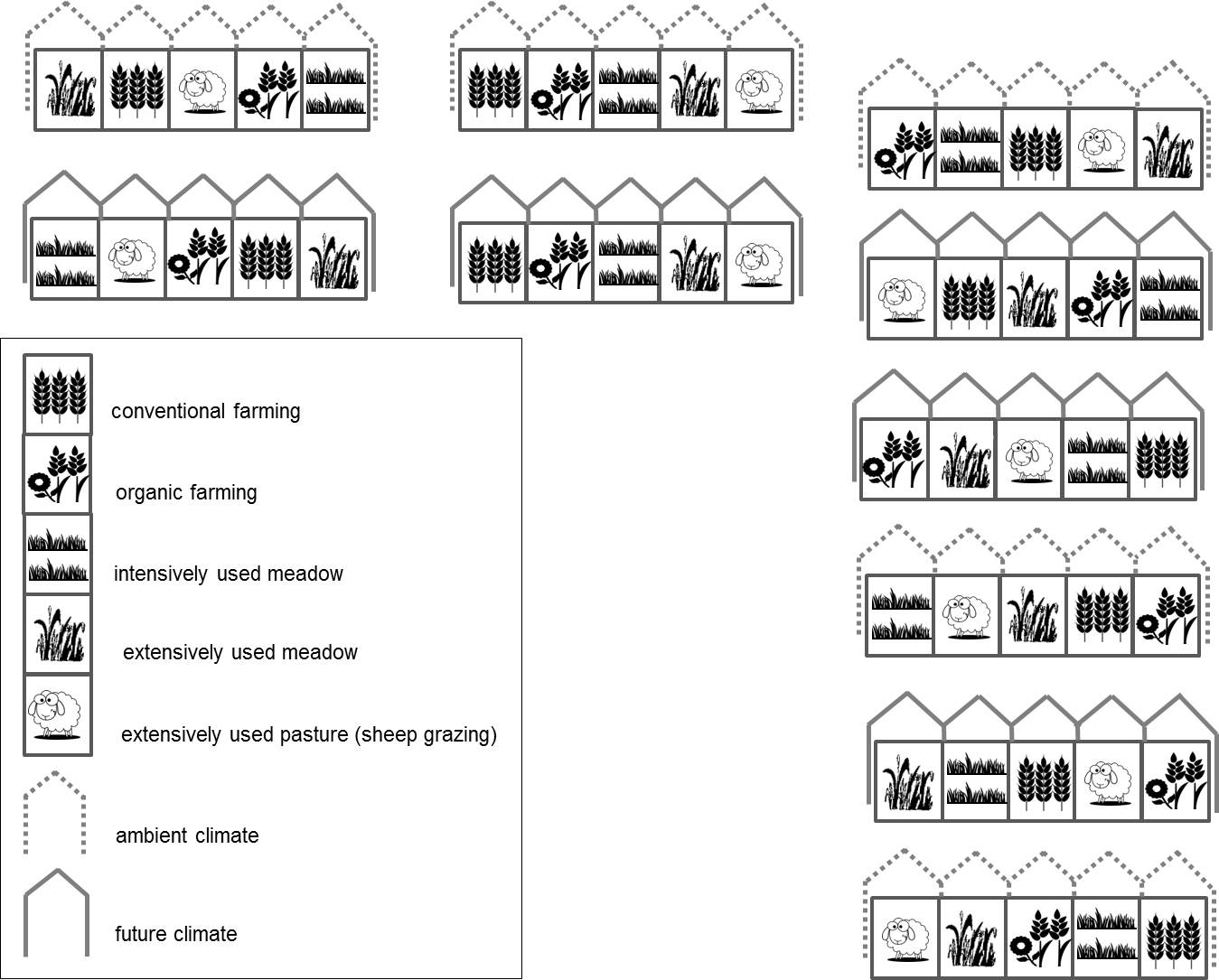 GCEF - Experimental Layout GCEF - Experimental Layout