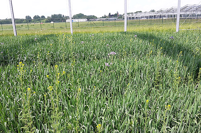 OrgFarm OrgFarm