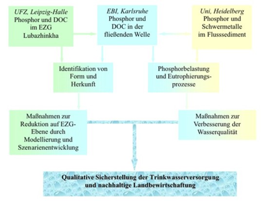 Zusammenarbeit der drei Gewässergüte orientierten Arbeitsgruppen Zusammenarbeit der drei Gewässergüte orientierten Arbeitsgruppen