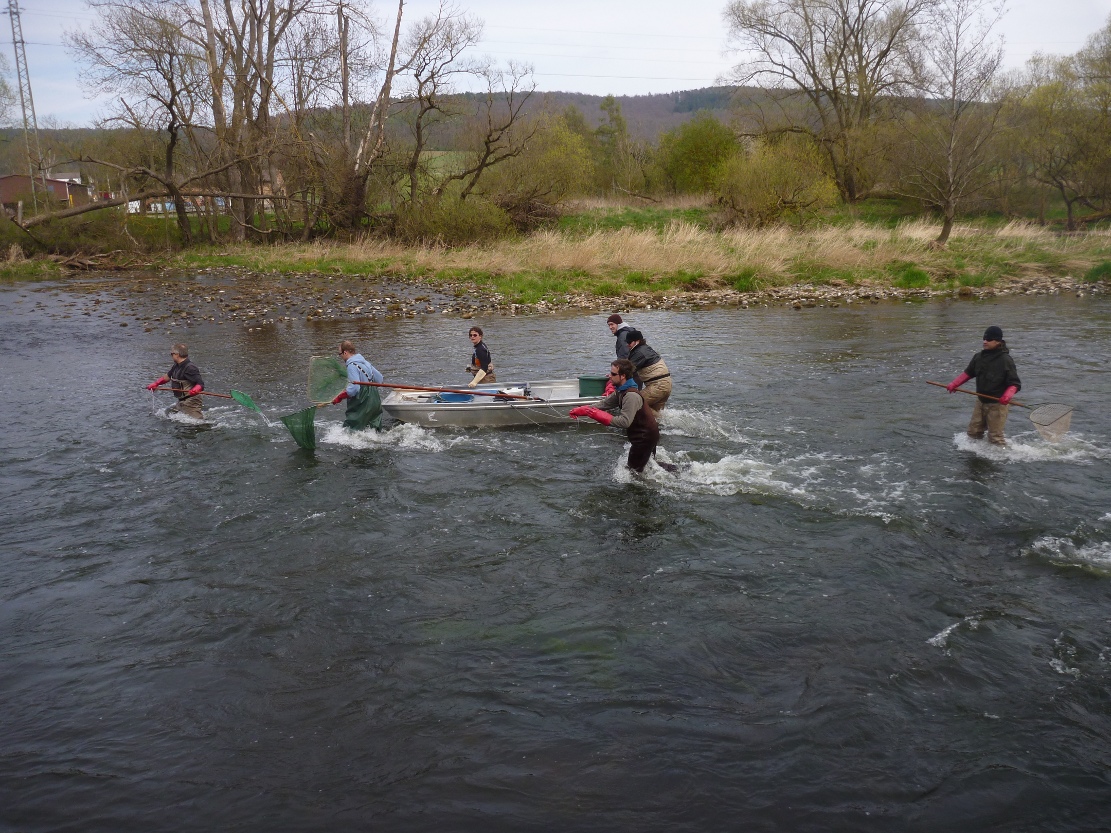 Feldarbeit an der Eder