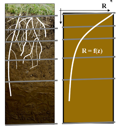 Root systems in SVAT models