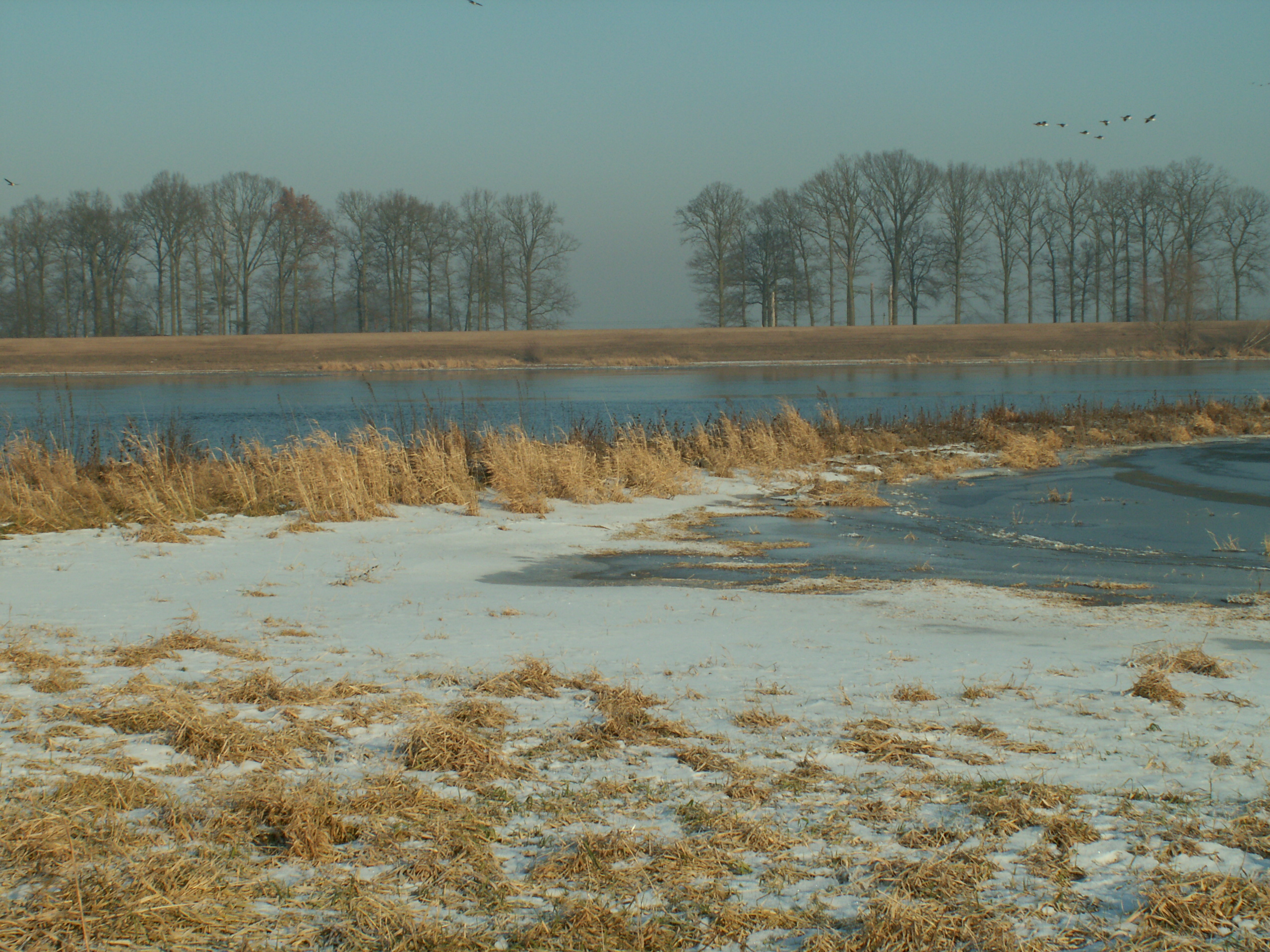 Die Elbe bei Schönberg Deich