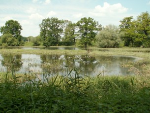 Rosslaudeich Rosslaudeich