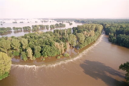 Elbe flood 2002 - Foto: A. Kuenzelmann, UFZ
