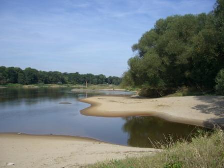 Ufer Elbe; Foto: F. Konjuchow, UFZ