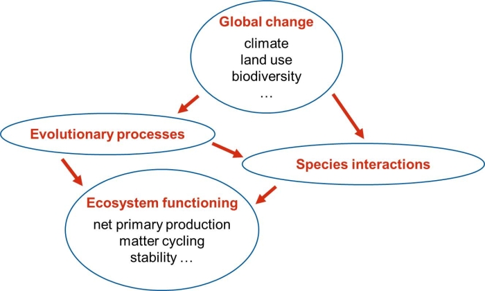 Scales of interactions