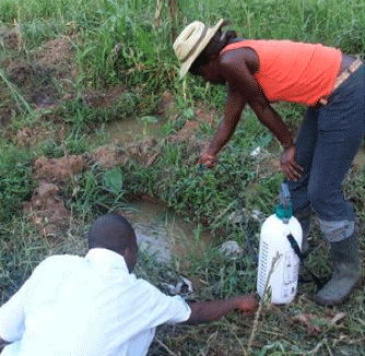 Field work 1 Field work 1