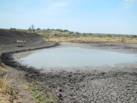 African habitat