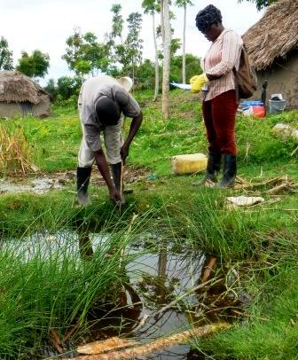 Larval mosquito monitoring