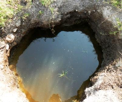 Breeding site