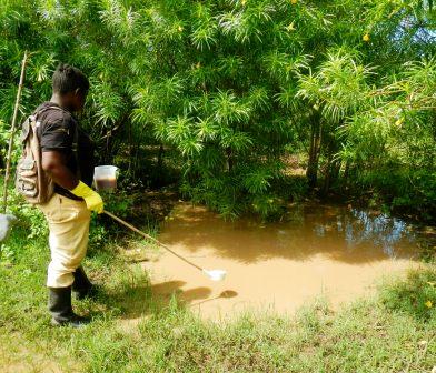 Picture field workers