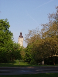 Riparian forest beside the city.