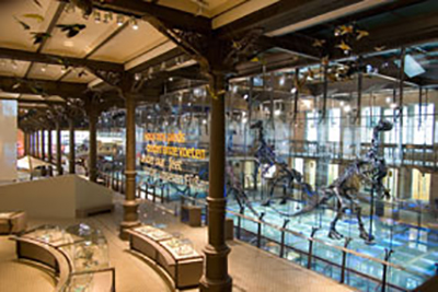 Quelle: Museum of Natural Sciences