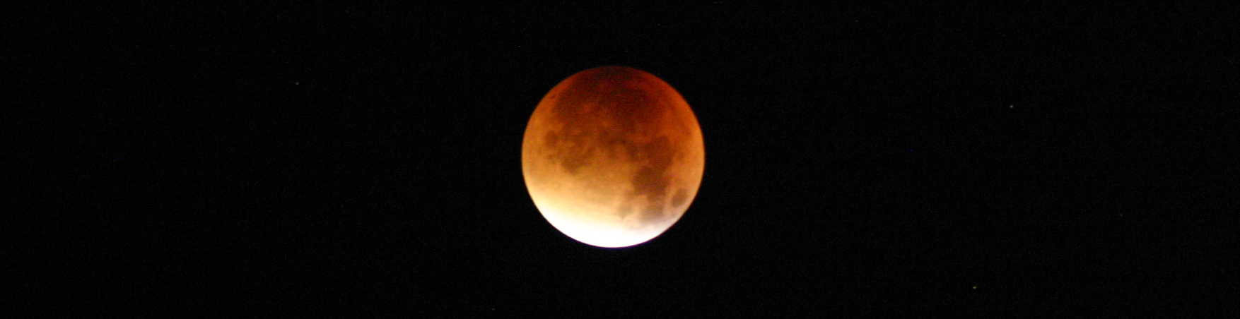 Moon Festival Moon Festival