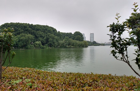 A view of Xuanwo Lake in central-northeast Nanjing