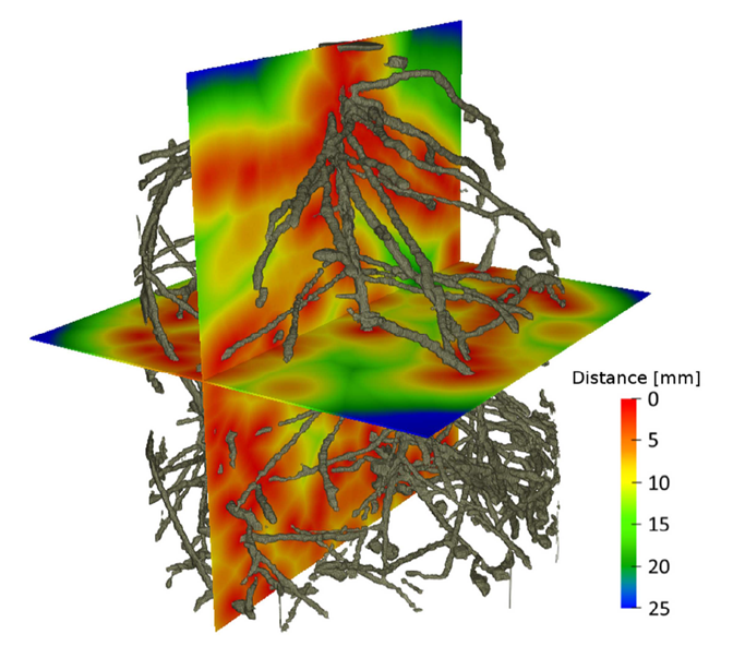 Rhizosphere