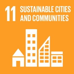 SDG11