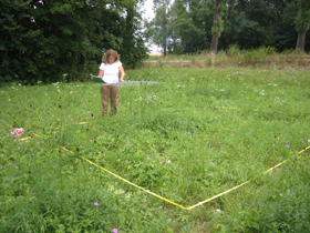 Sampling Sampling