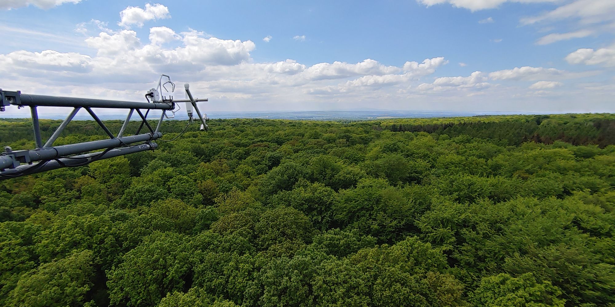 On top of the tower