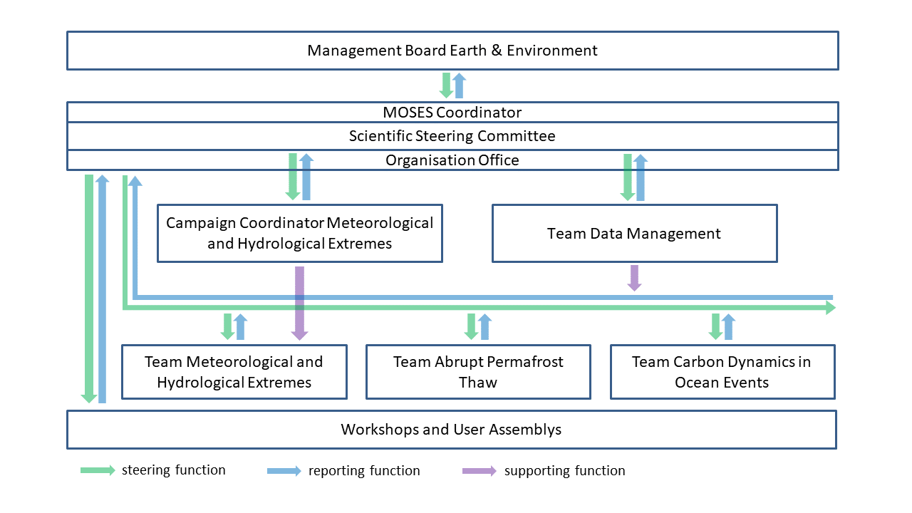 MOSES Organigram