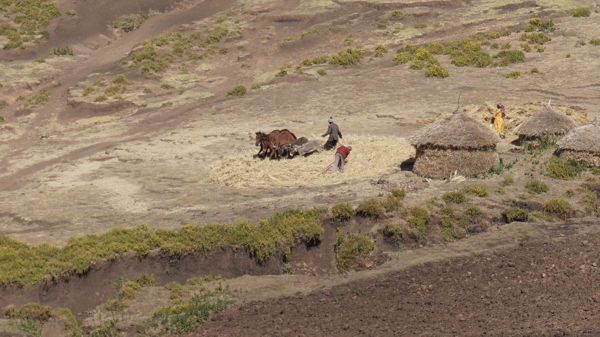 Ethiopian Farmer