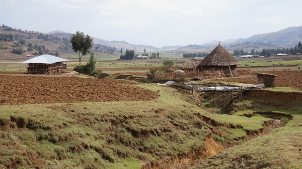 Ethiopian Landscape