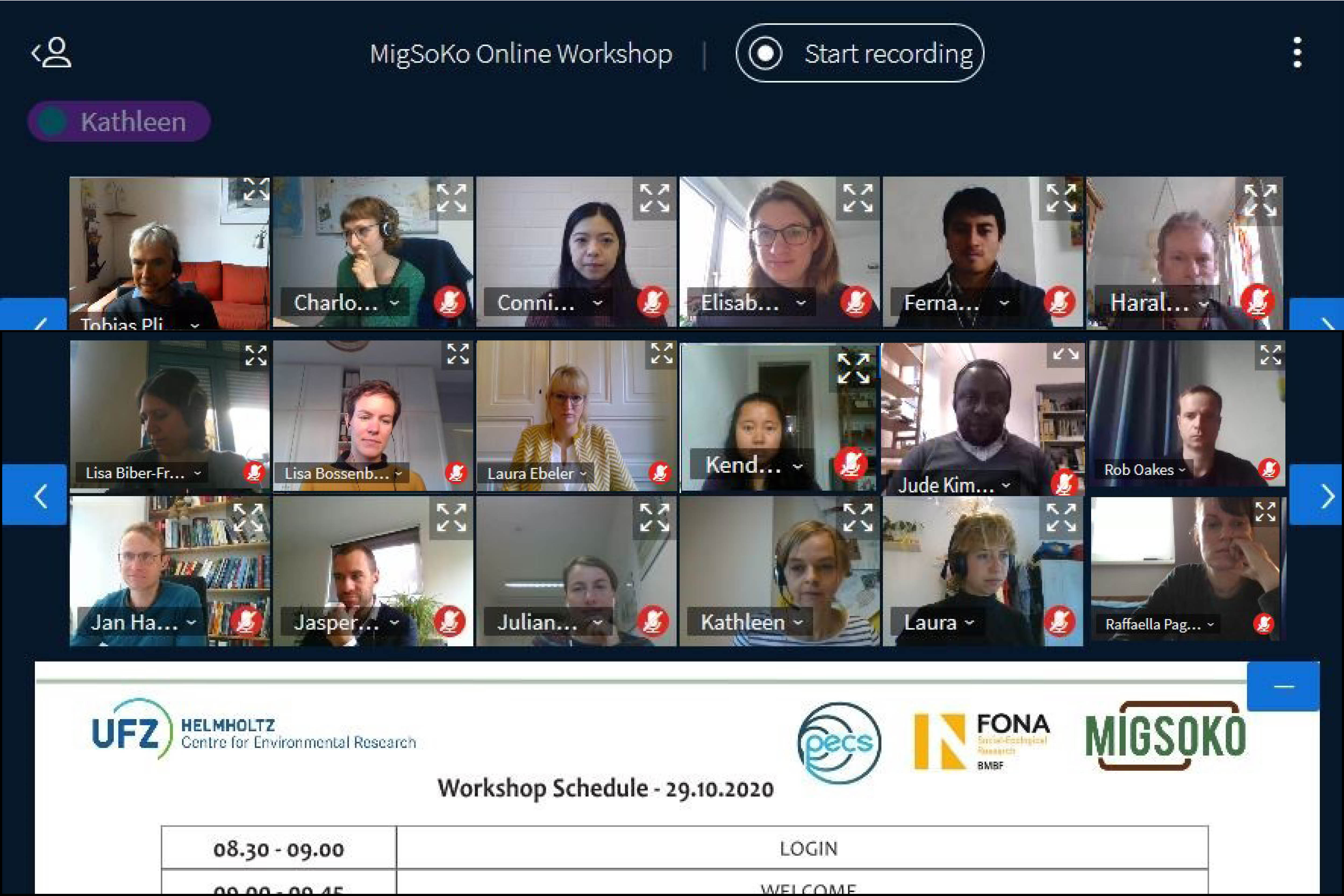 MigSoKo Online Workshop