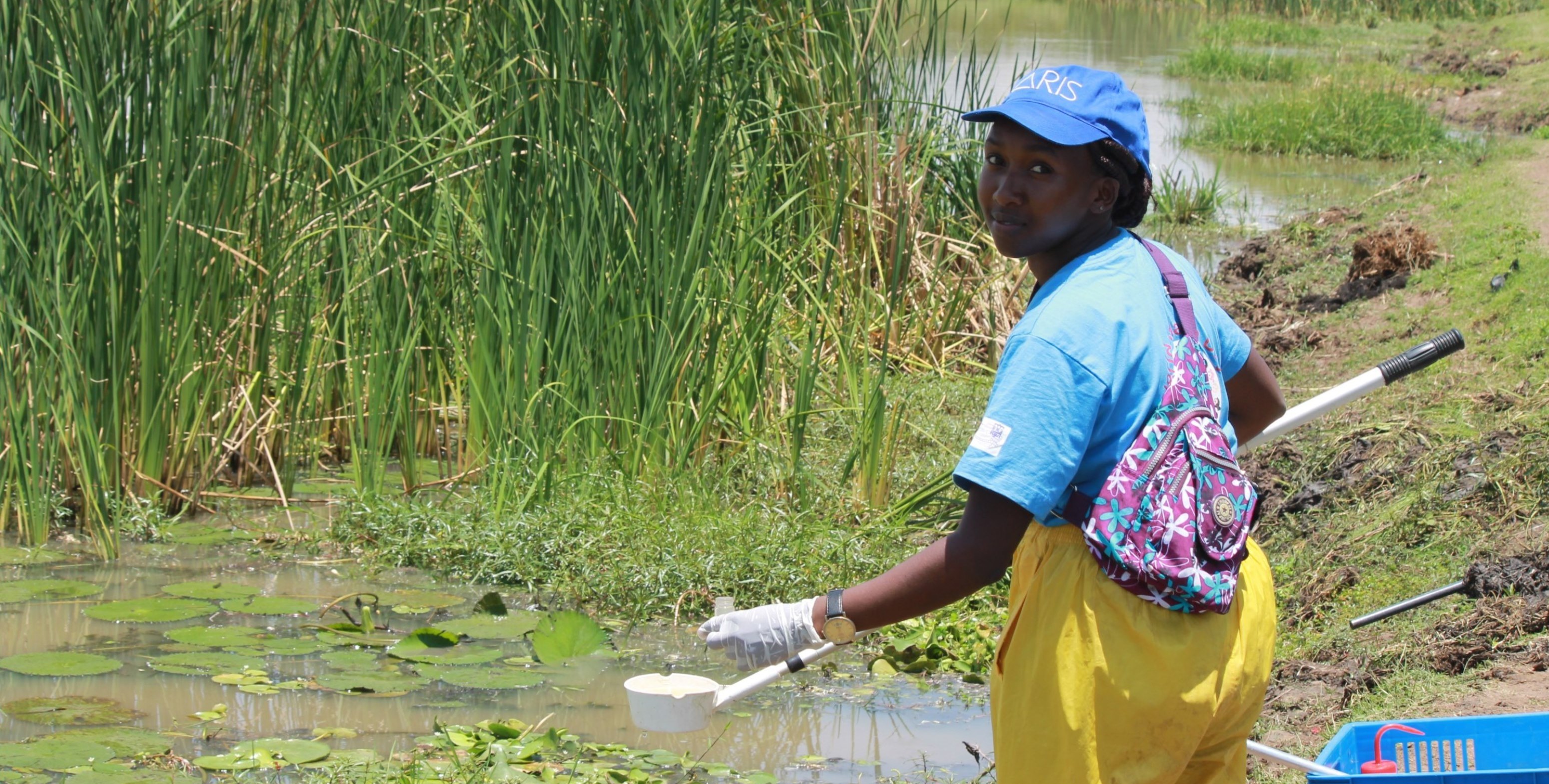 Schistosomiasis kenia. B - Lengyelország magyarul