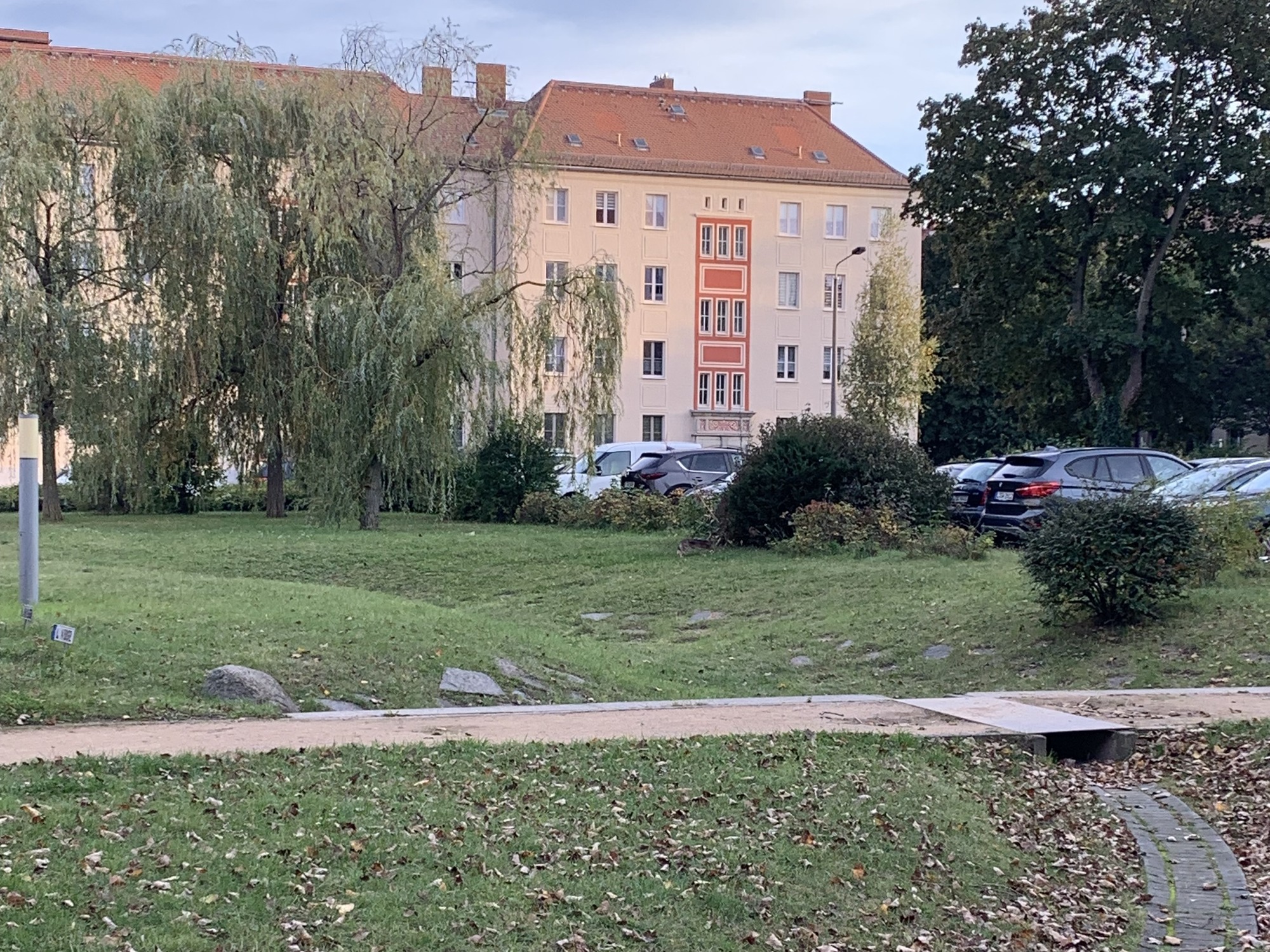 Versickerungsmulde im Duncker Viertel. © Sophie Wehmeier.