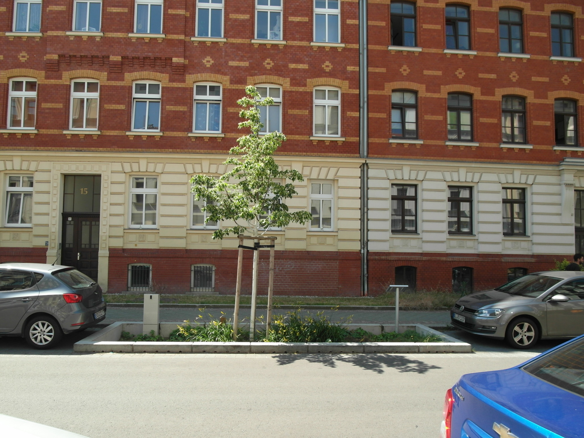 Baumrigolen in der Kasseler Straße in Gohlis, Leipzig. © Katy Bernhard.