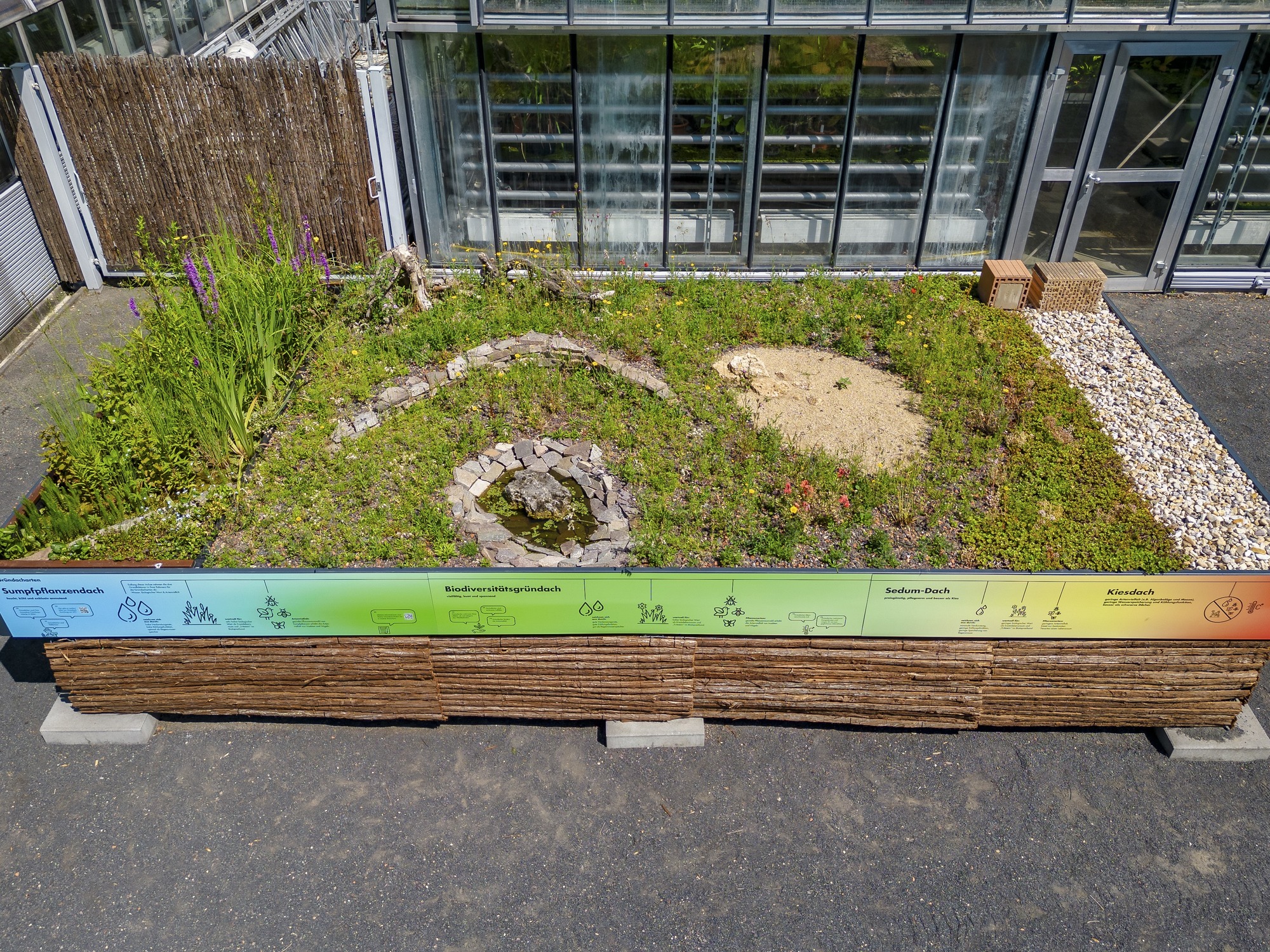 Gründachexponat im Botanischen Garten. © André Künzelmann.