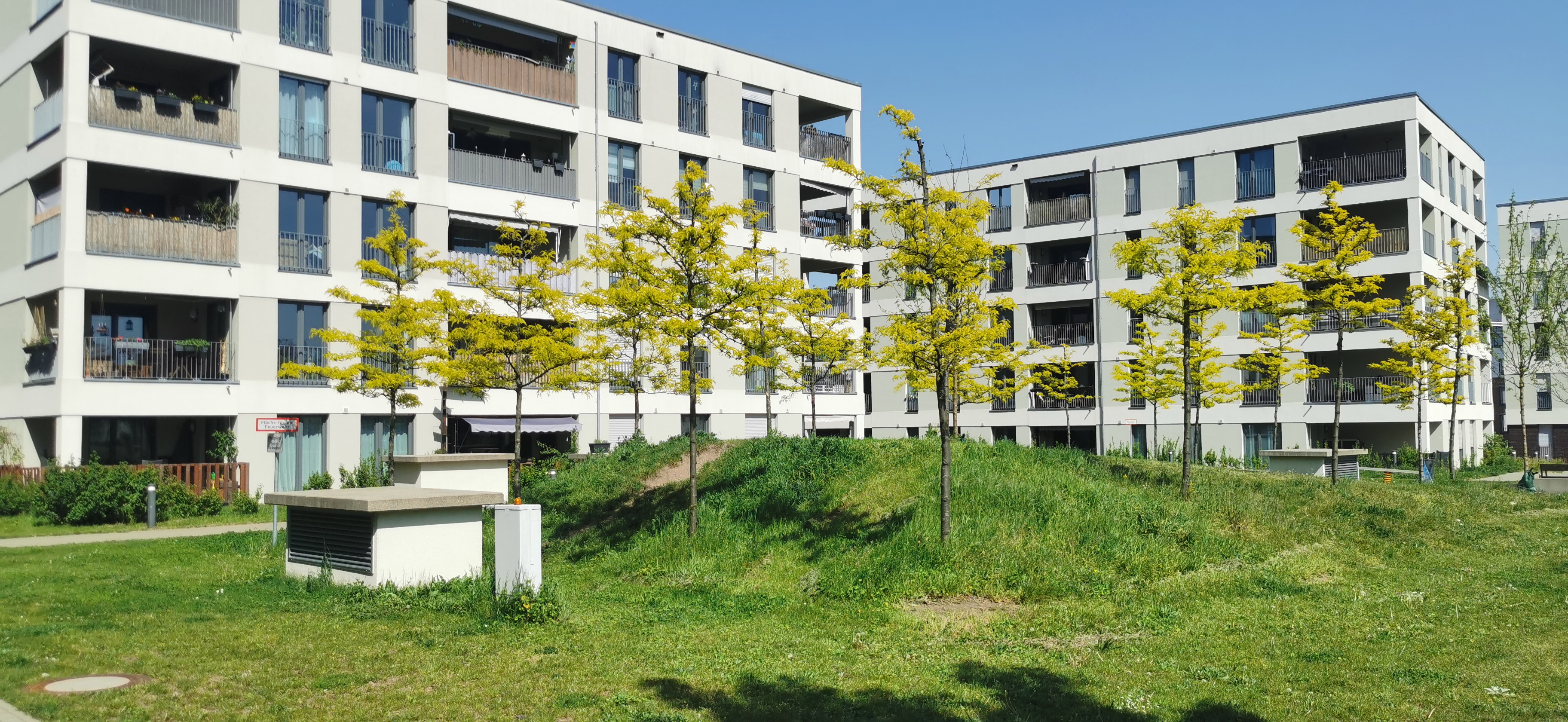 Begrünte Tiefgaragen und Gründächer in der Naumannsche Brauerei (Plagwitz). © Timo Böttcher.