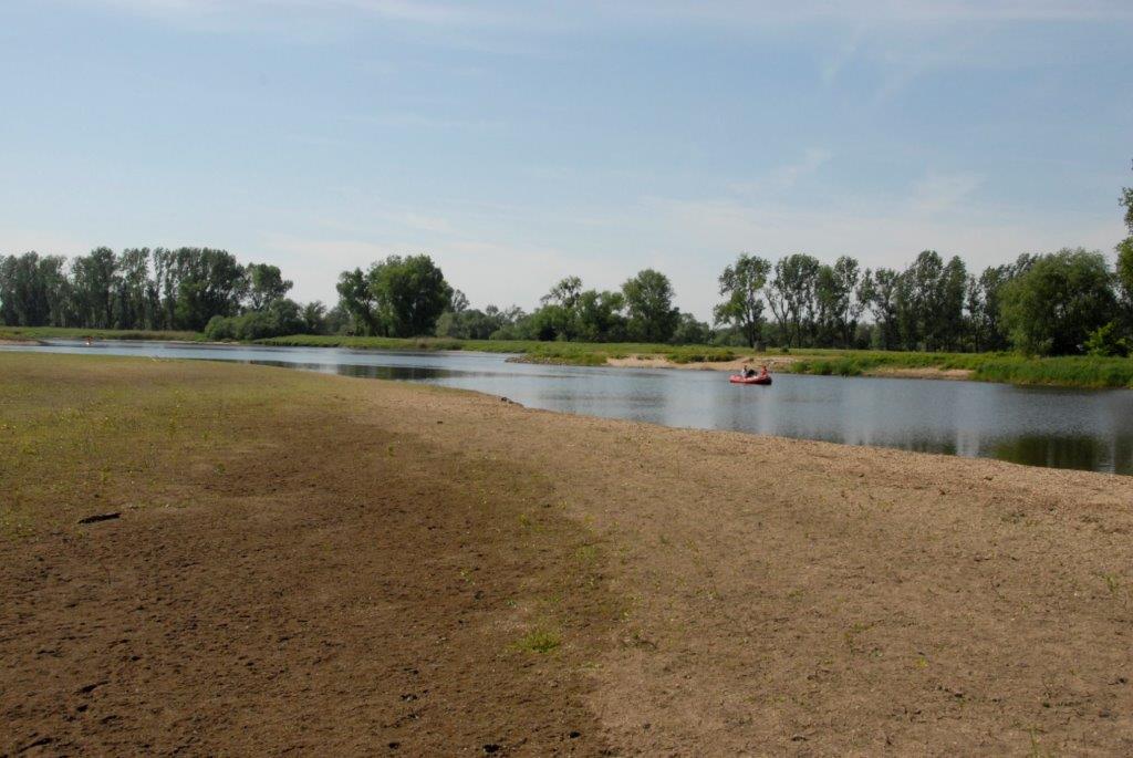 Elbe drought